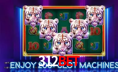 Security Systems 312Bet